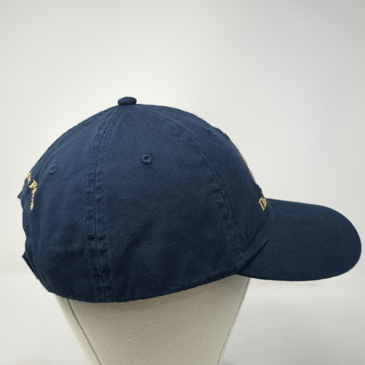 Port & Company Blue Baseball Cap One Size Peregrine Fund Falcon Strapback hat
