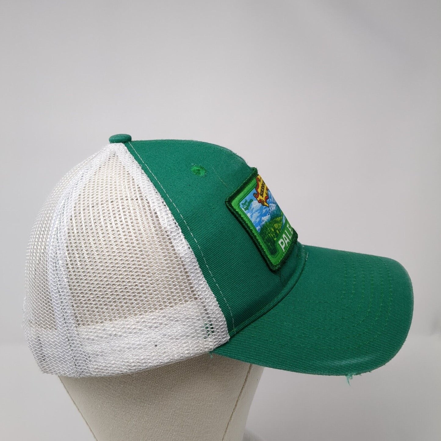 Pale Ale Snapback Trucker Hat Green One Size Adjustable Mesh Back Sierra Nevada