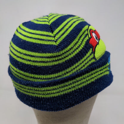 Nickelodeon Boys Toddler Teenage Mutant Ninja Turtles TMNT Beanie Hat Multicolor