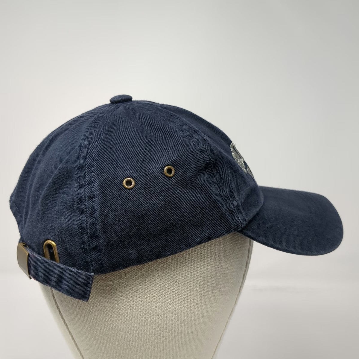 MV Sport Bronx Zoo New York City Blue Baseball Cap One Size Logo Slideback Hat