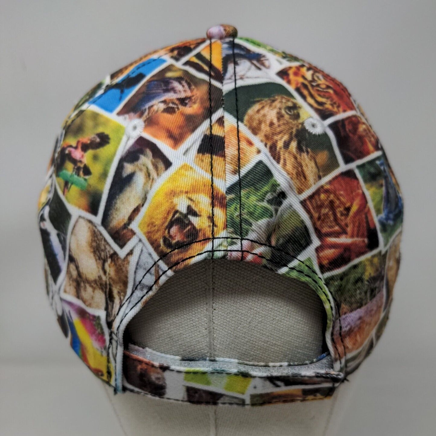 Asphalt Materials Inc. 2023 Day at The Zoo Strapback Hat Multicolor One Size