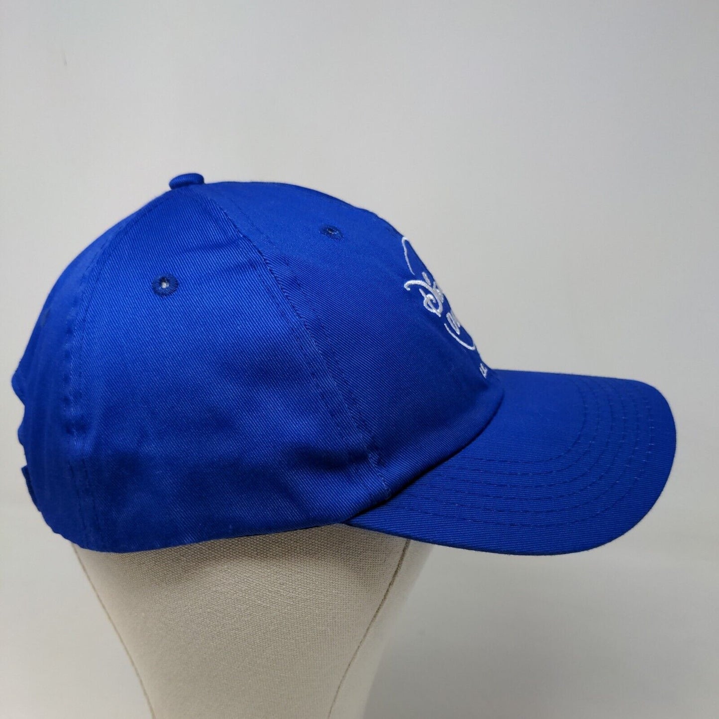 Disney + Men's Strapback Hat Blue OSFM Embroidered Logo 2021 Polycotton Logo