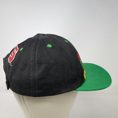 Chase Authentics Kellogg's Racing Terry Labonte 5 Black Green Baseball Cap OSFM