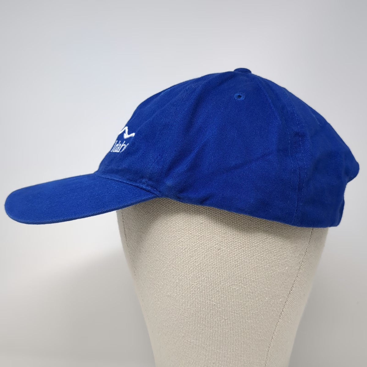 Port & Company Baseball Cap Blue One Size Blue Cross of Idaho Logo Hat Slideback