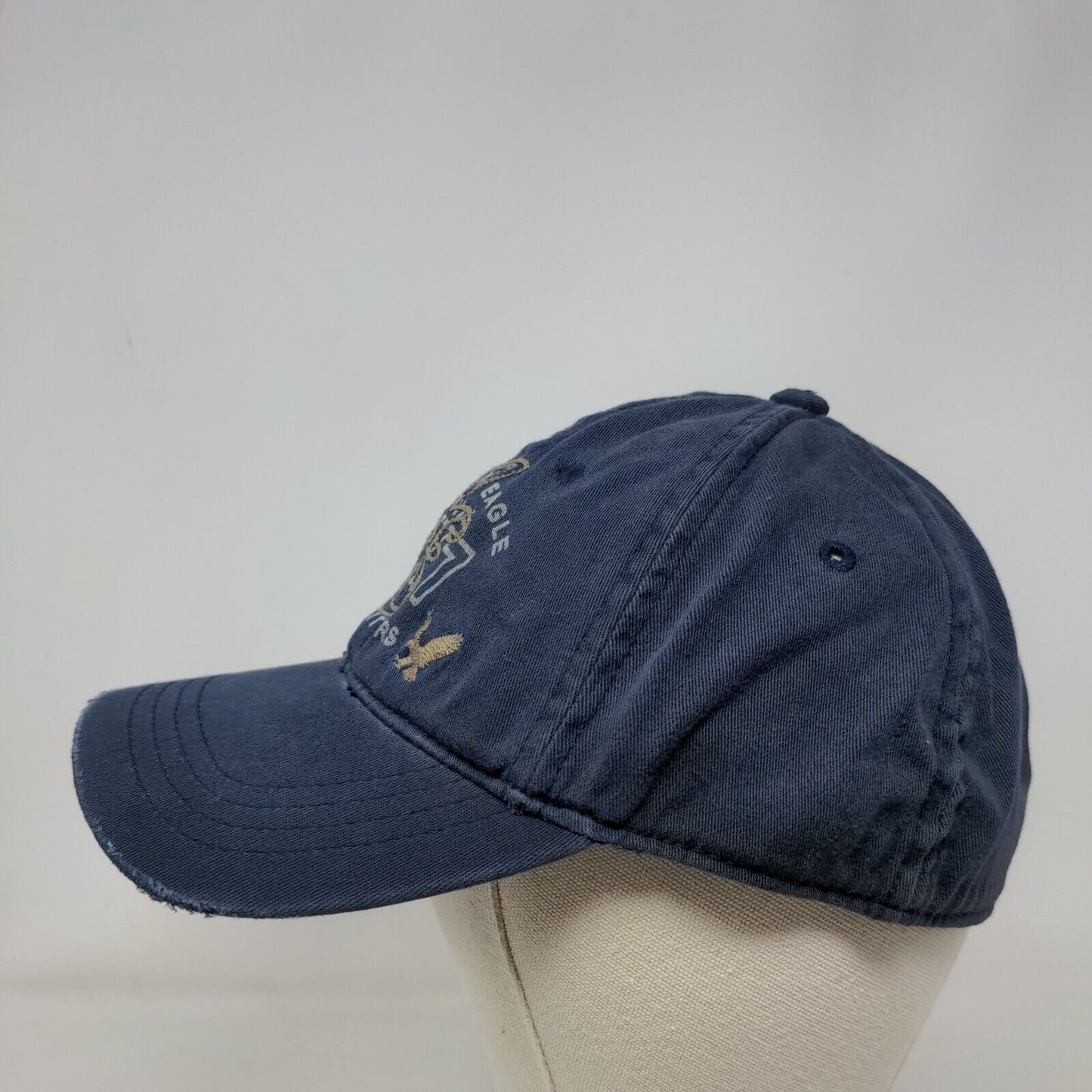 American Eagle Outfitters Fitted Hat Blue S/M Embroidered Distressed 6 Panel