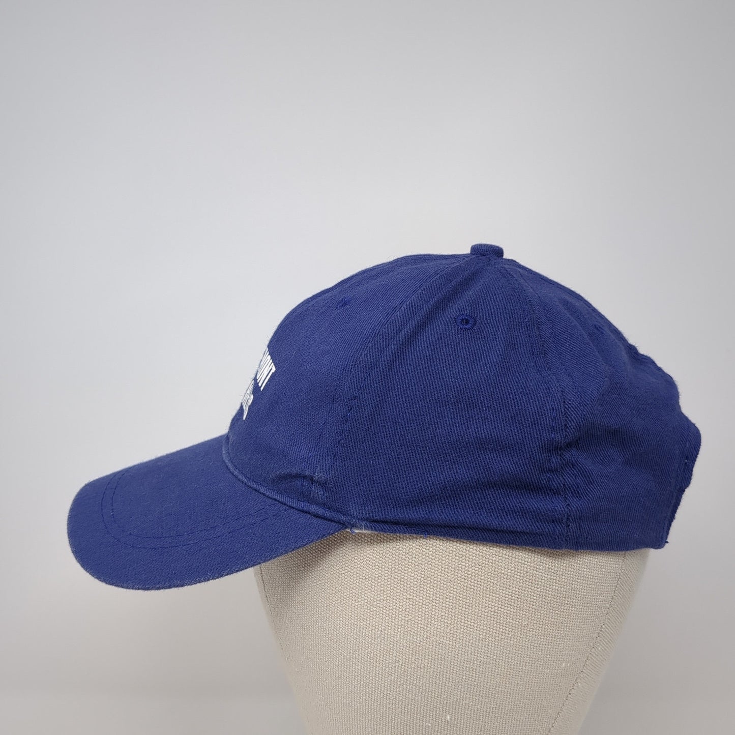Pierremont Panthers Strapback Hat Blue One Size Adjustable 6 Panel