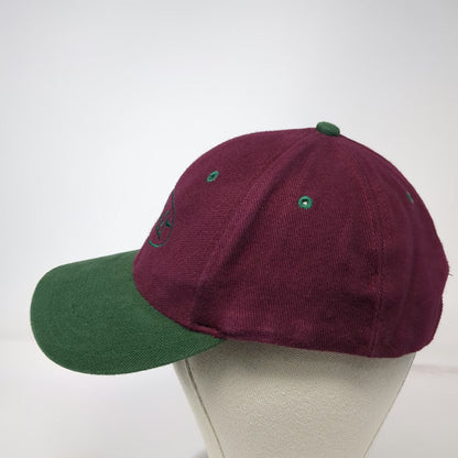 Cyrk Peterbilt Snapback Hat Purple Green One Size Trucking Logo Baseball Cap