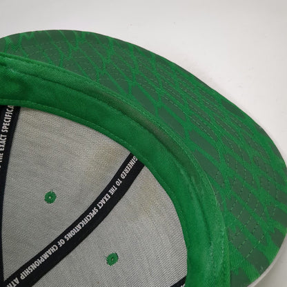 Nike Oregon Ducks NCAA Snapback Green One Size Silver Metallic Bill Flat Hat