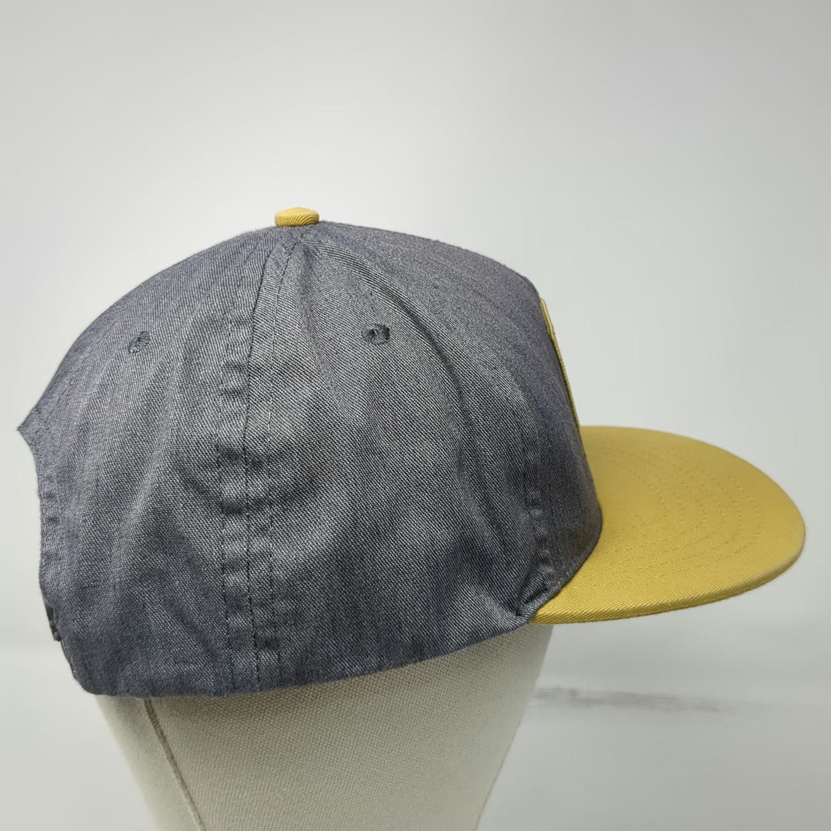 The Landmark Project 5 Panel Gray One Size Yellowstone Geyser Patch Snapback Hat