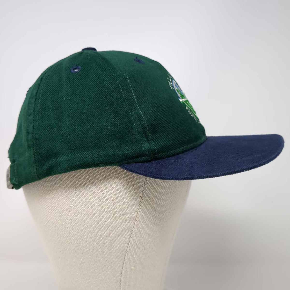 Otto Baseball Cap Green Blue OSFM Tillamook Public Power People's Utility hat