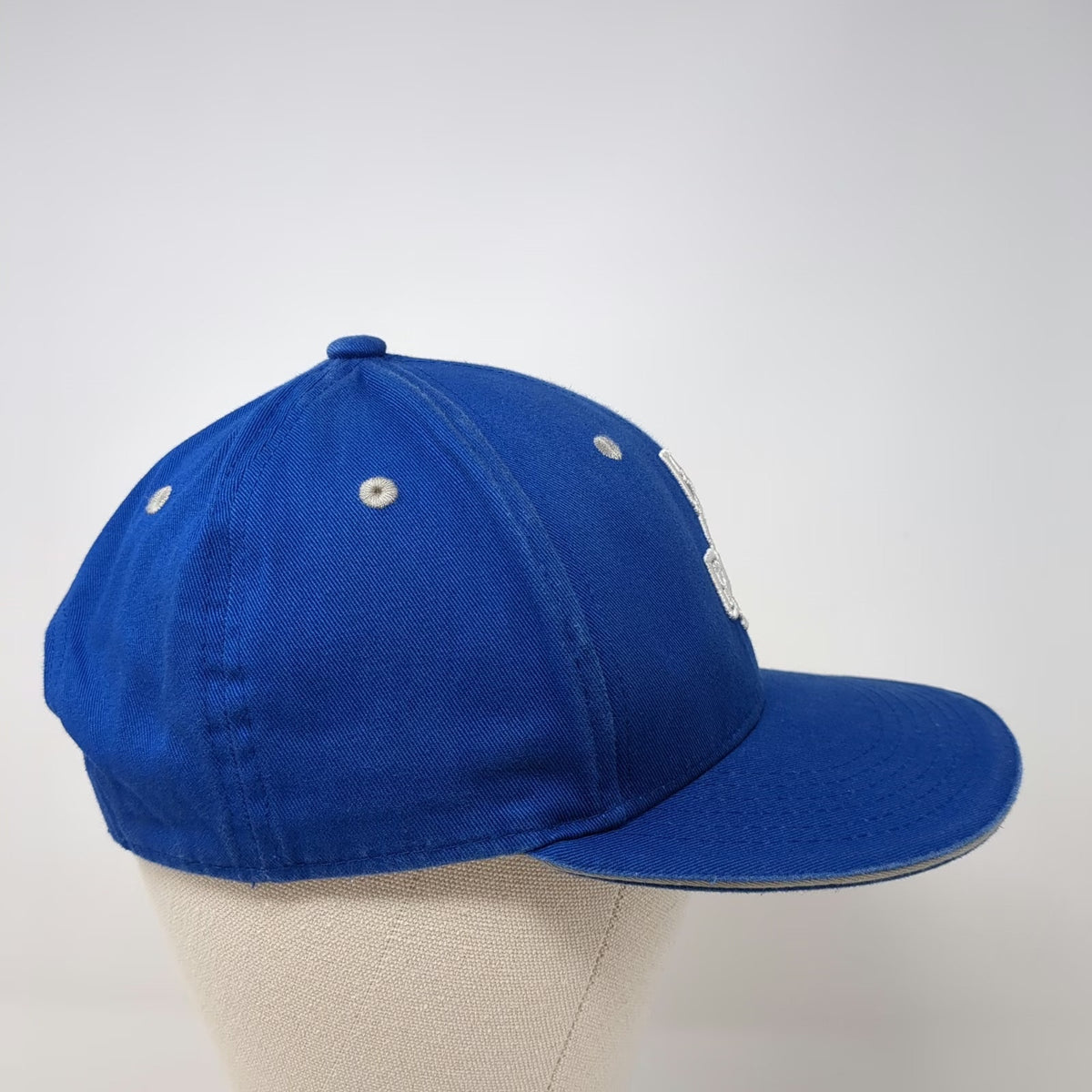 Melonwear Snapback Blue One Size Idaho Steelheads Hockey Credit Union Cotton Hat