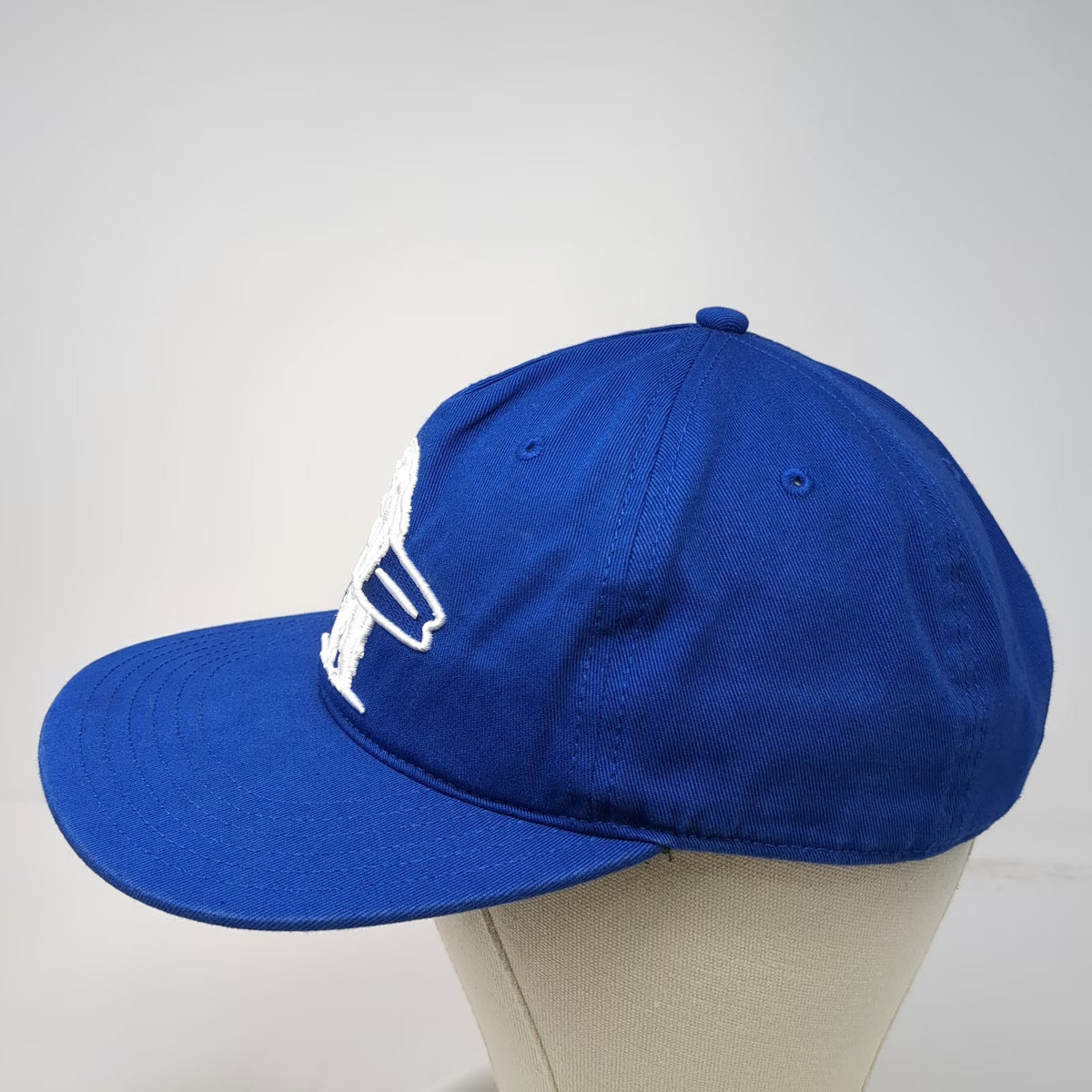 Everyday California 5 Panel Blue One Size Snapback Hat Surfing Bear Logo Cotton
