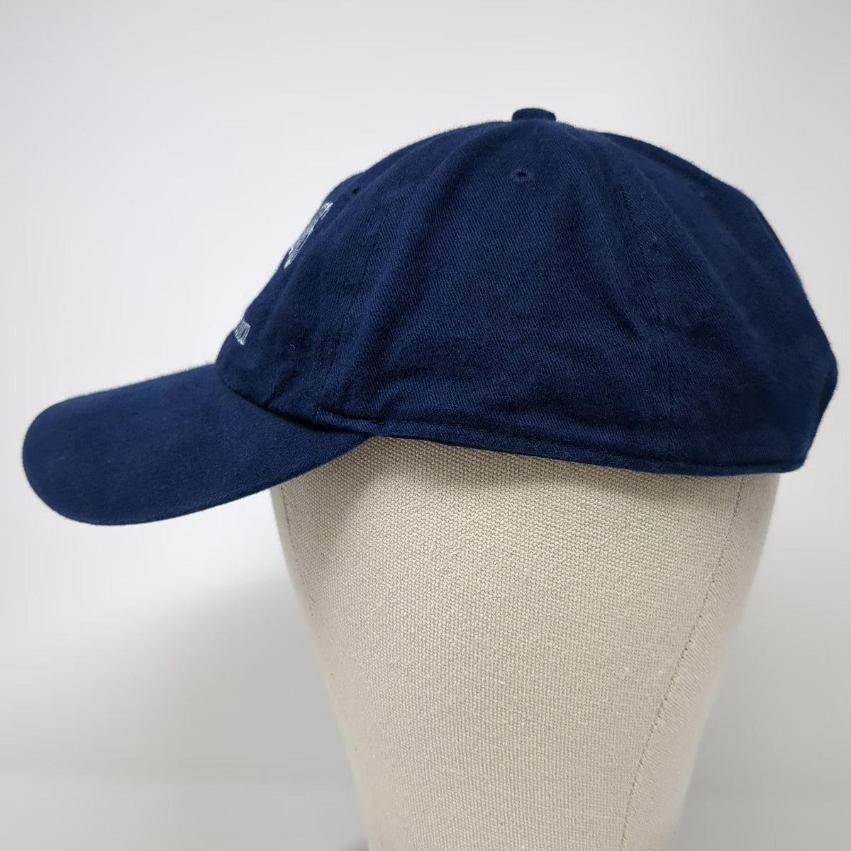 Cobra Baseball Cap Blue One Size Camp Parsons Seattle Council Embroidered Hat