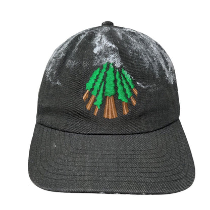 Sator Grove Snapback Hat Gray OSFM Embroidered Pacific Headwear