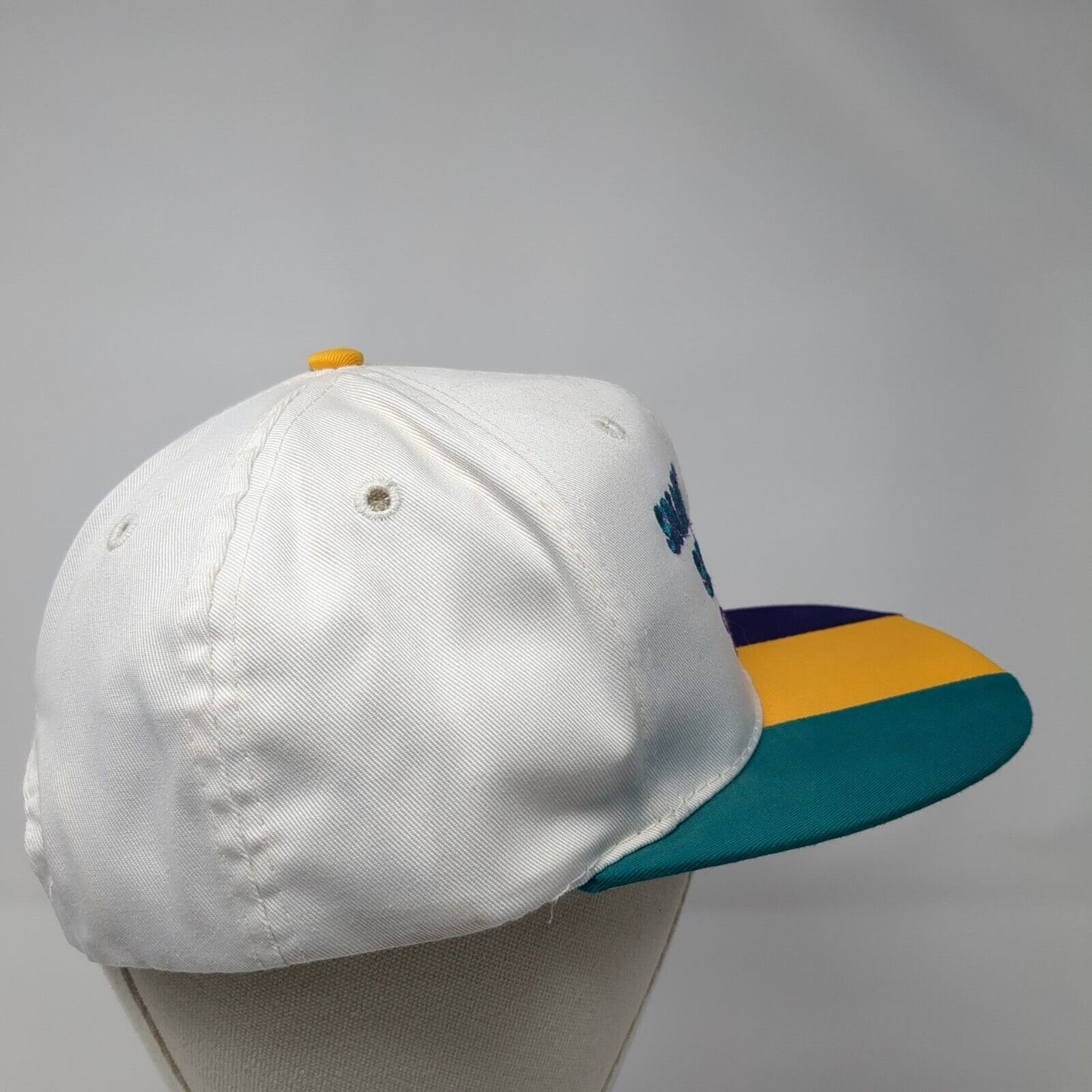 Snake River Stampede Over 80 Years Of Memories Snapback Hat Multi One Size Otto