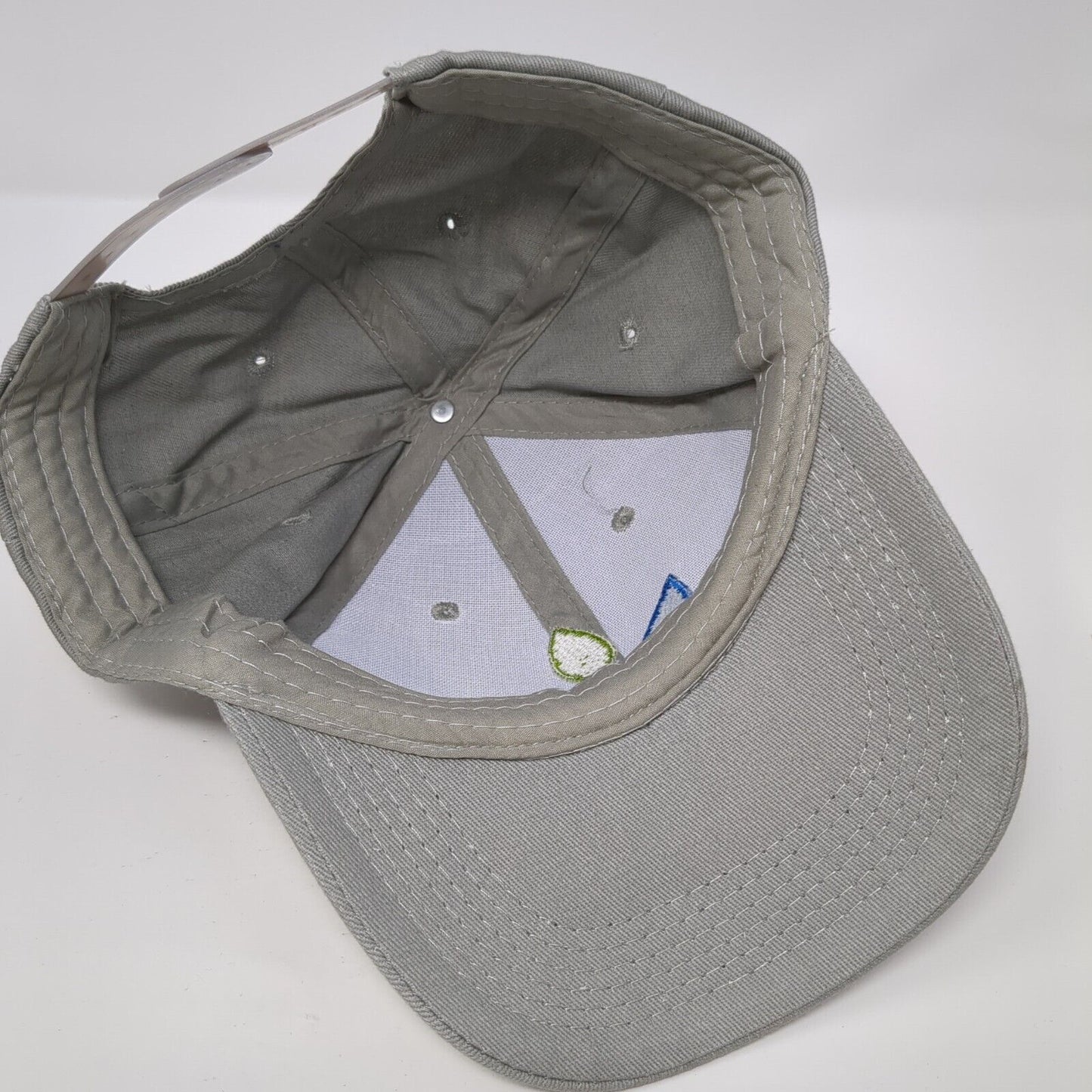 Madison Health Snapback Hat Gray One Size Adjustable Embroidered 6 Panel