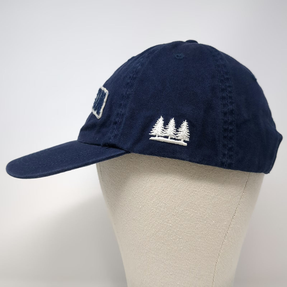 Fahrenheit Baseball Cap Blue One Size Oregon Est 1859 Pine Trees Slideback Hat