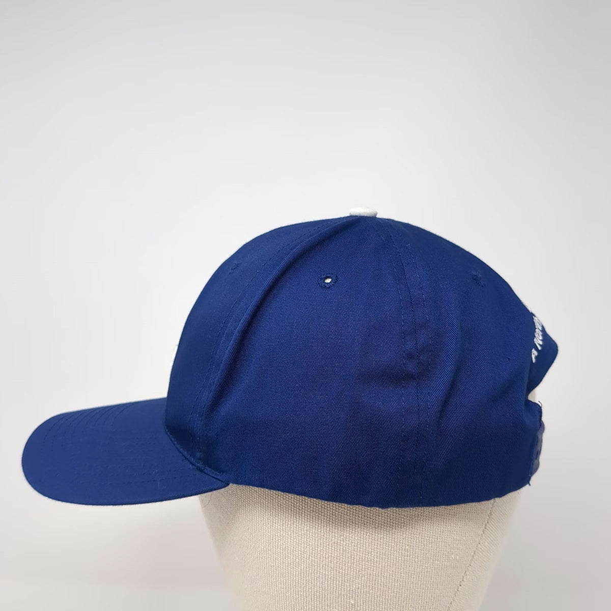 Los Angeles Dodgers MLB Twins Enterprise Baseball Cap Blue One Size Snapback Hat