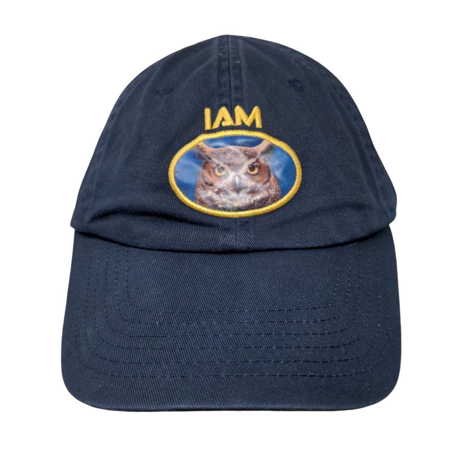 I am Owl Strapback Hat Blue One Size Adjustable Innovation Data Processing