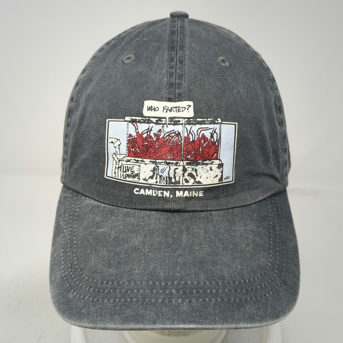 Fahrenheit Headwear Baseball Cap Gray One Size Who Farted Lobster Camden Maine