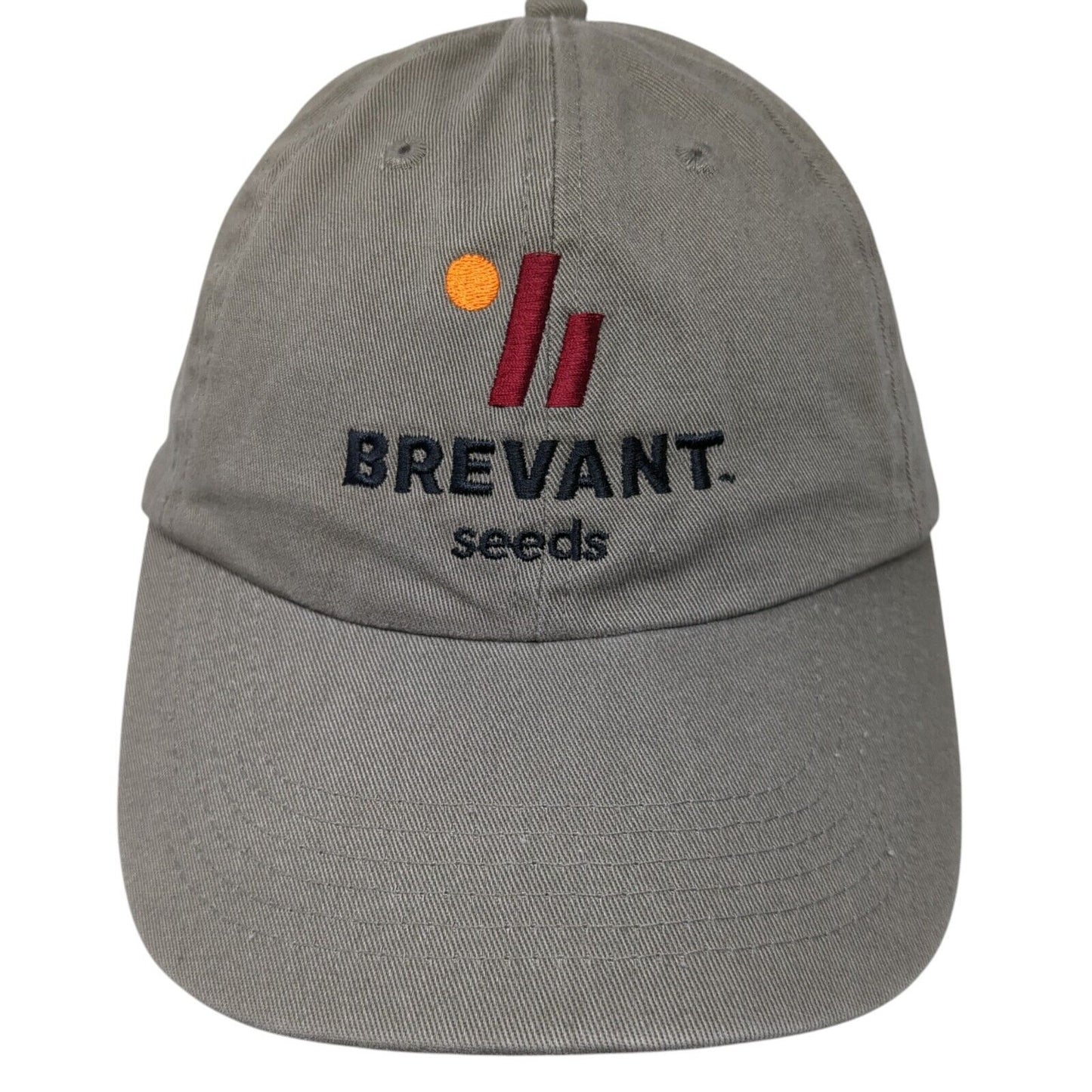 Brevant Seeds Slideback Hat Brown OS Adjustable Embroidered Quake City Caps