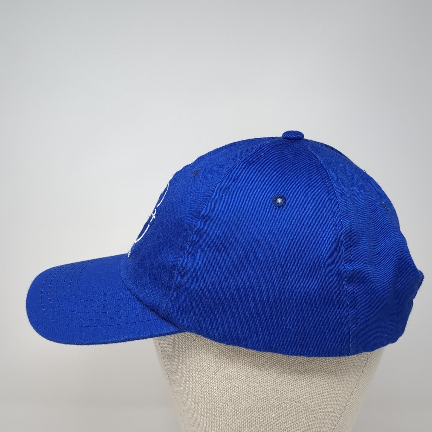 Disney+ Day 11.12.21 Strapback Hat Blue One Size Adjustable Embroidered