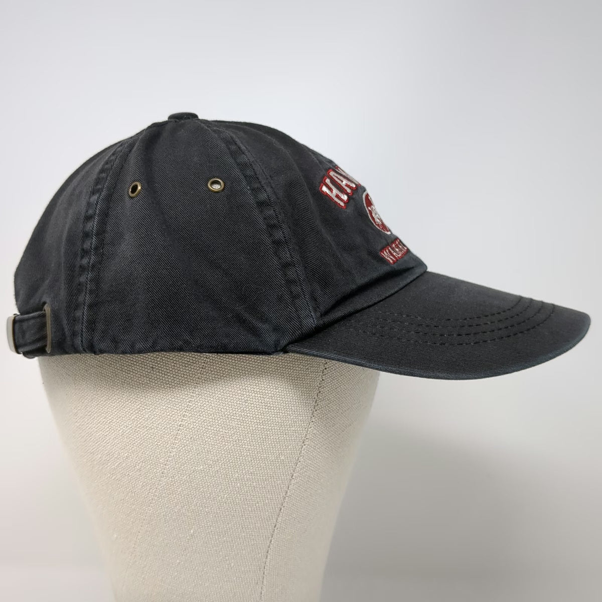 Sansegalo Hawaii Waikiki Beach Palm Tree Black Baseball Cap Hat One Size Cotton