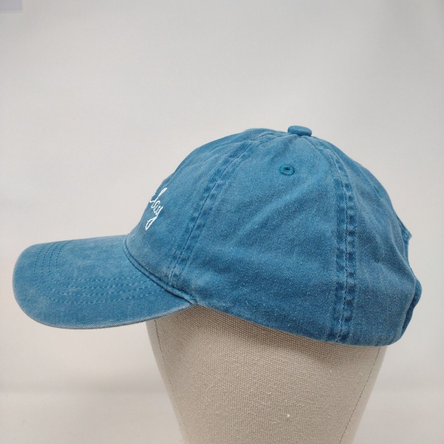Bad Hair Day Slideback Hat Blue OSFA Adjustable Embroidered Vented Holes Cotton
