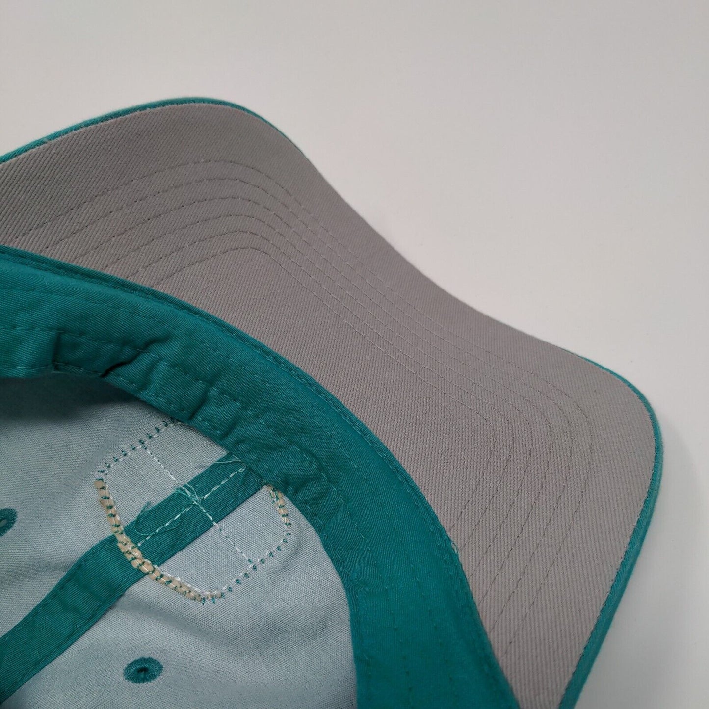 Terrace Lakes 1965 Strapback Hat Greenish-Blue OSFM Adjustable Levelwear Cotton