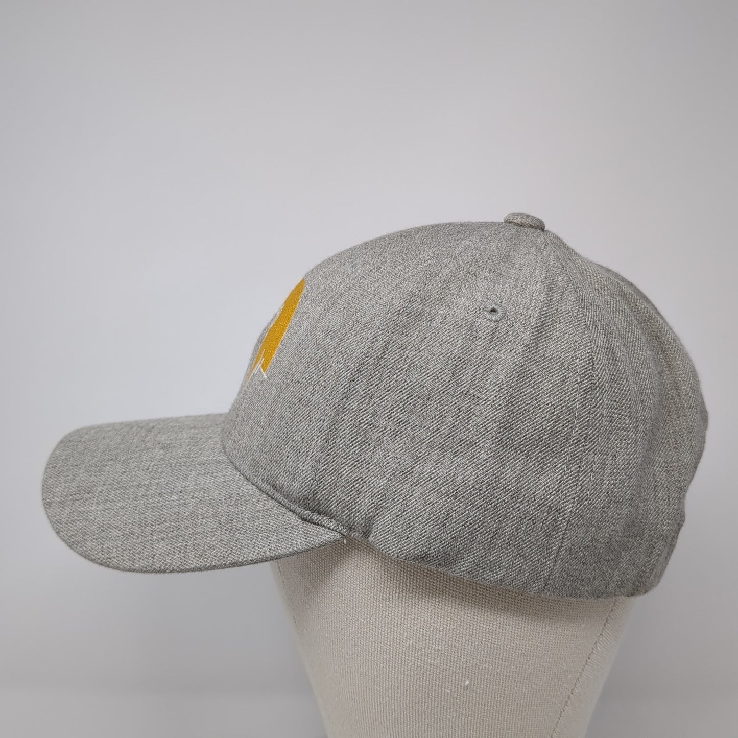 PTSD Snapback Hat Gray One Size Solid Adjustable Embroidered Yupoong