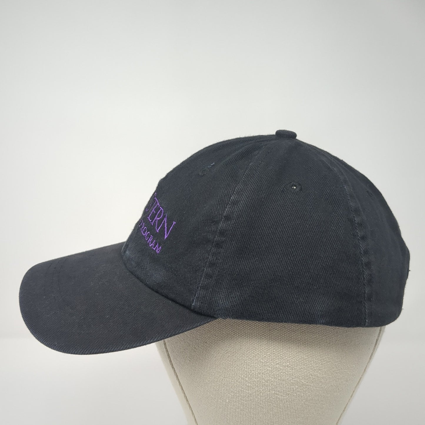 NYUSTERN Executive Mba Program Baseball Cap Black One Size Adjustable AMC