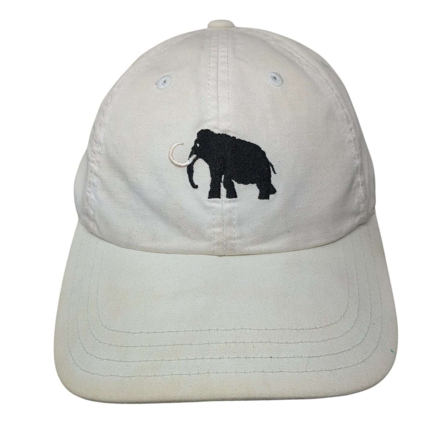 Mammoth Dunes Strapback Hat White One Size American Needle 6 Panel