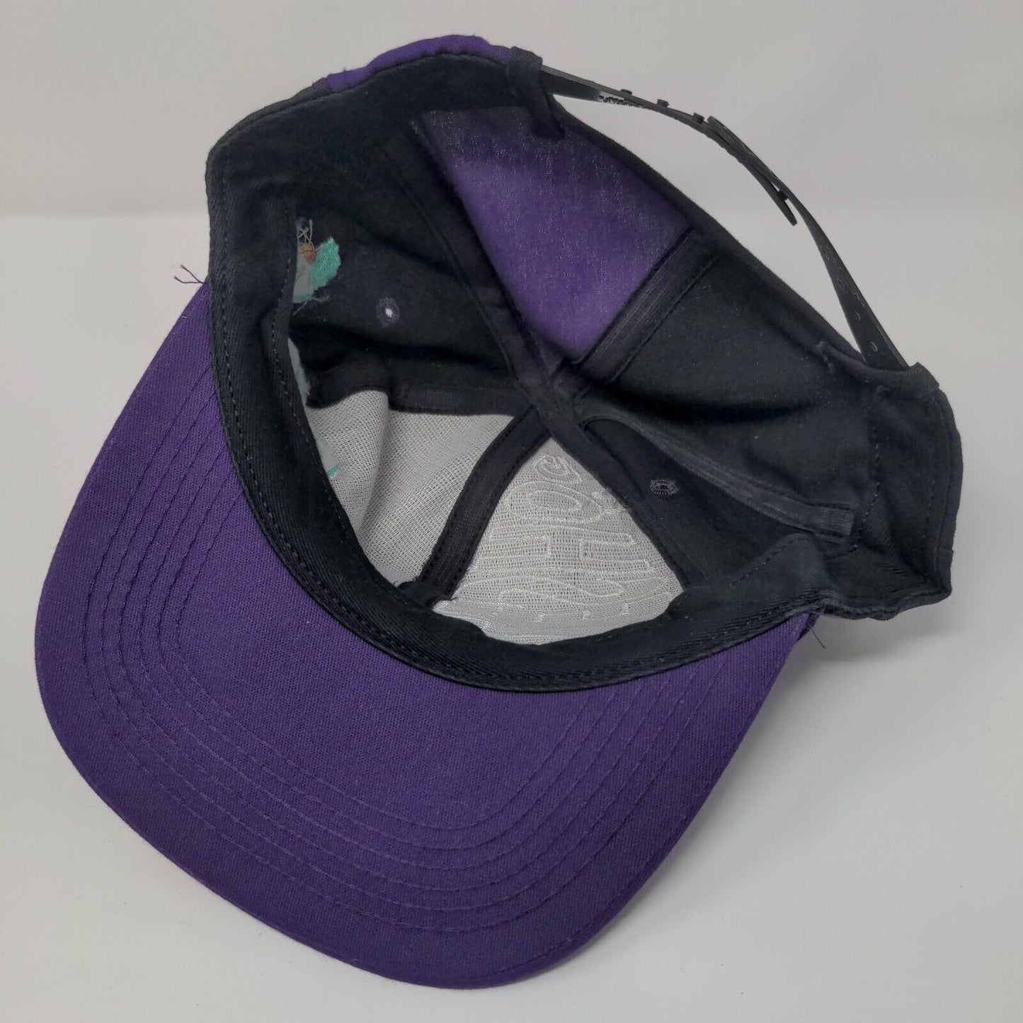 Hilleshoe Sandoz Seeds Snapback Hat Multicolor OSFA Adjustable Embroidered