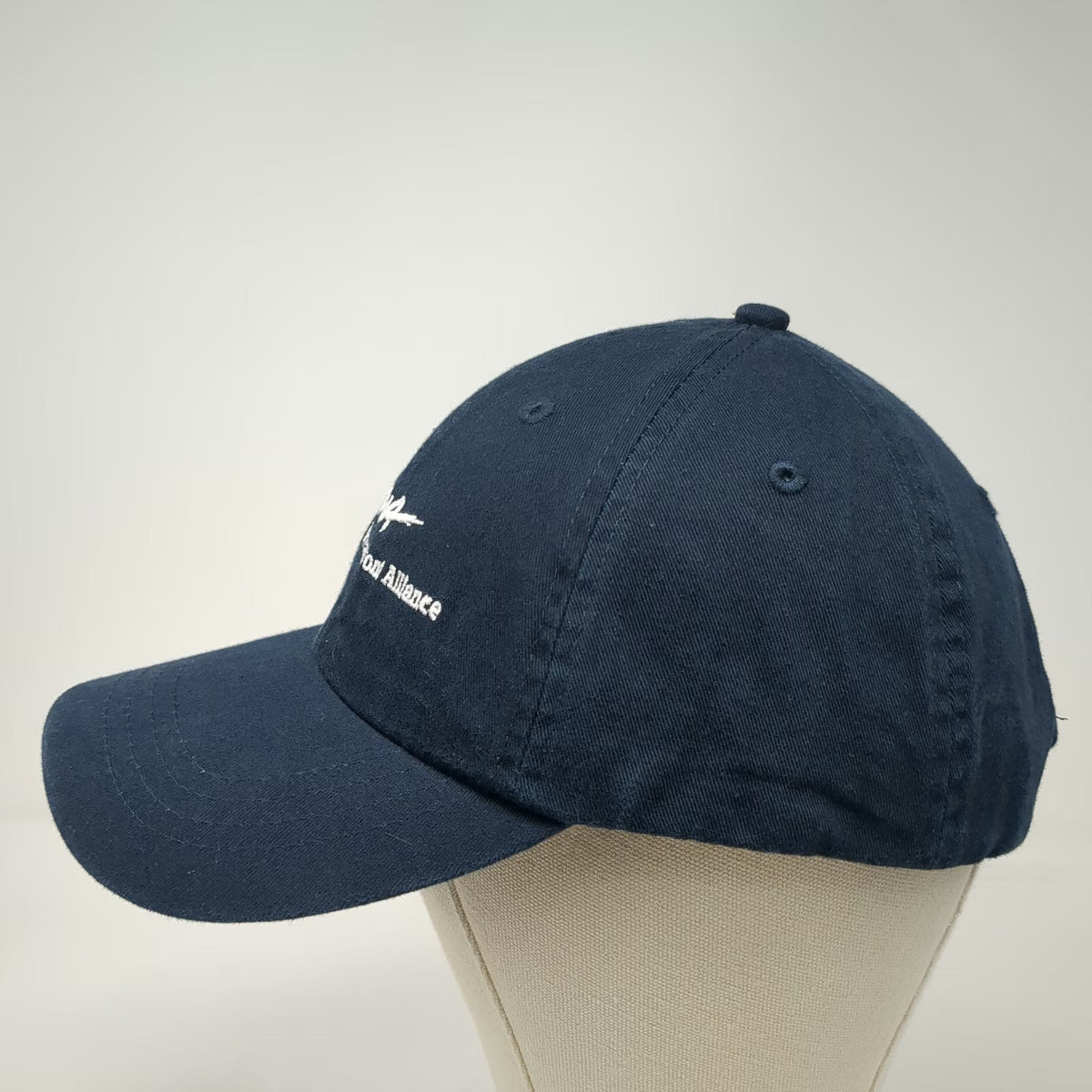 KC Caps Metropolitan Waterfront Alliance MWA Blue Baseball Cap One Size Hat