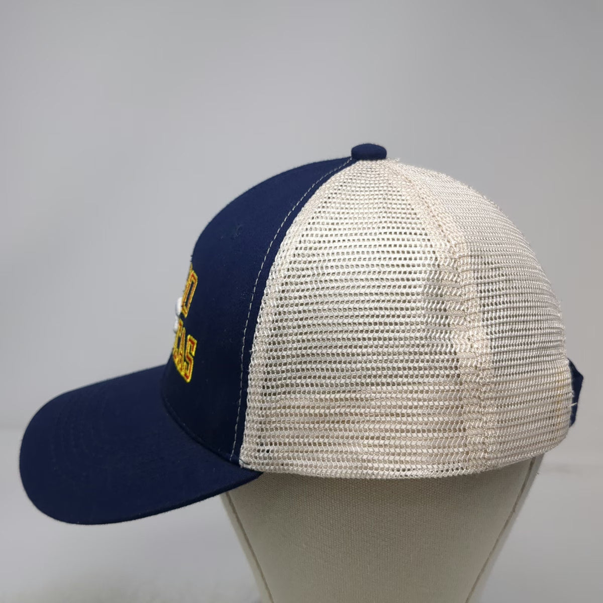 Baseball Cap Blue One Size Cabo San Lucas Mesh Strapback Seagull Mexico Hat