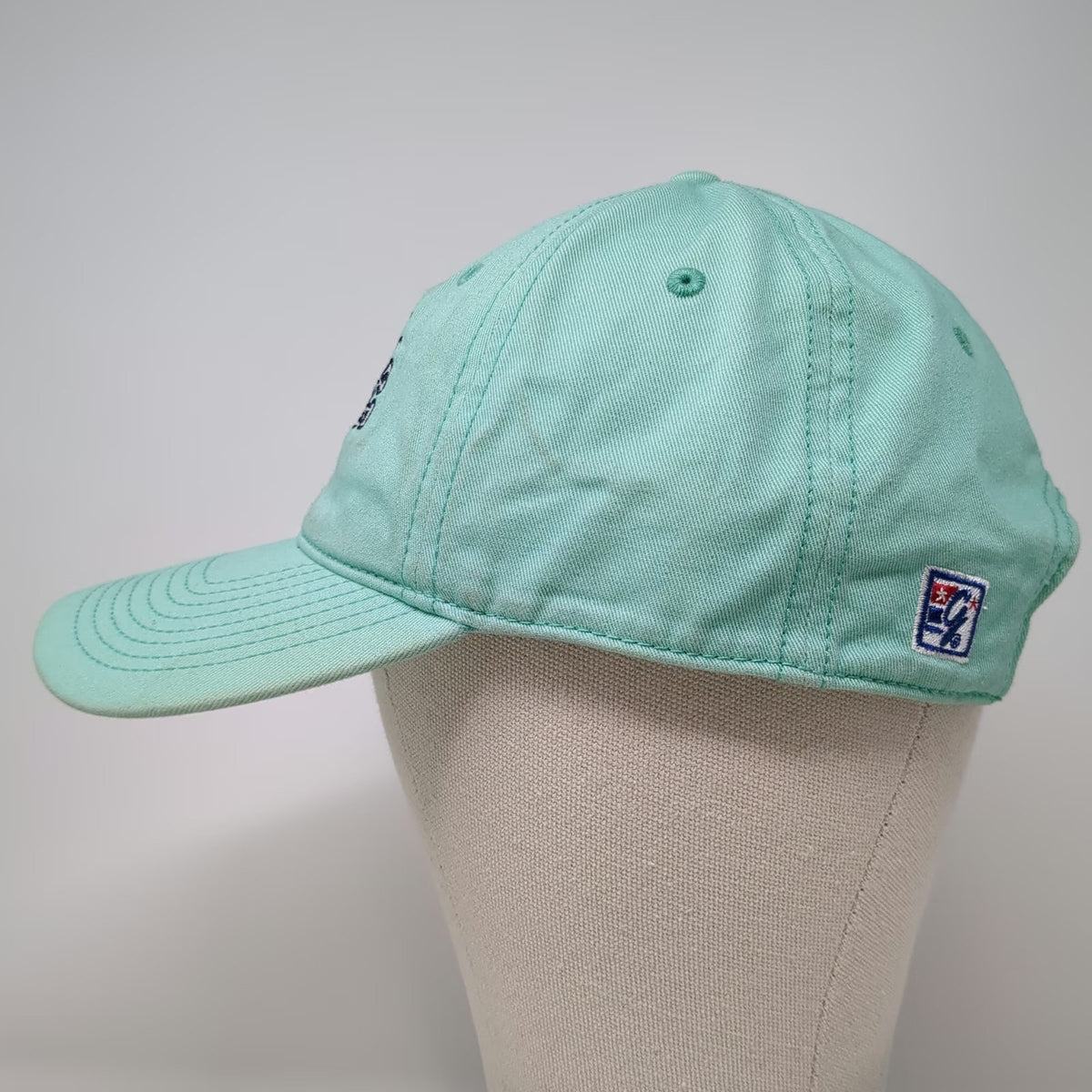 The Game Baseball Cap Blue One Size Canobie Lake Park Amusement Park Graphic Hat