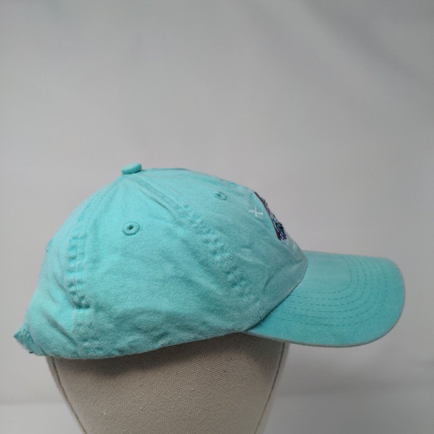 Aspen Colorado Car Strapback Hat Blue OSFA Embroidered Fahrenheit