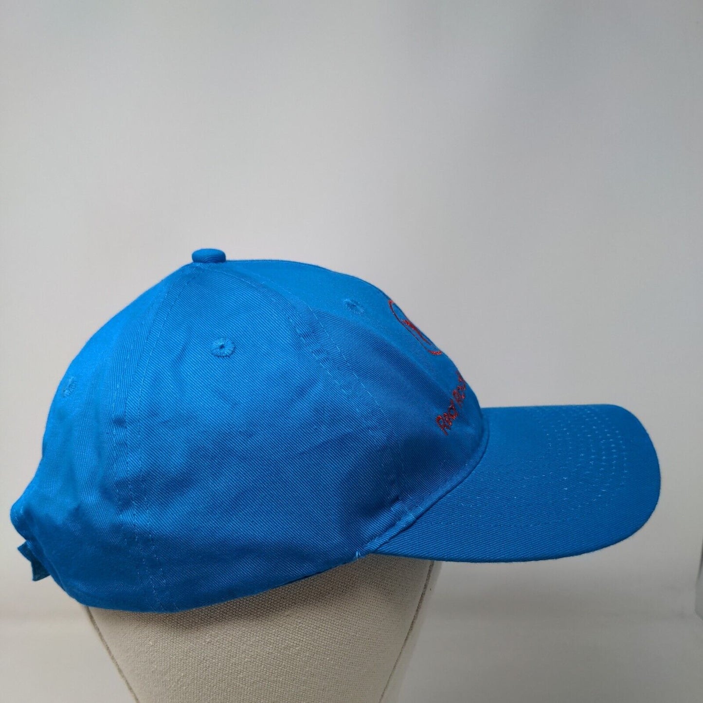 Red Rock Audubon Strapback Hat Blue One Size Embroidered Port & Company