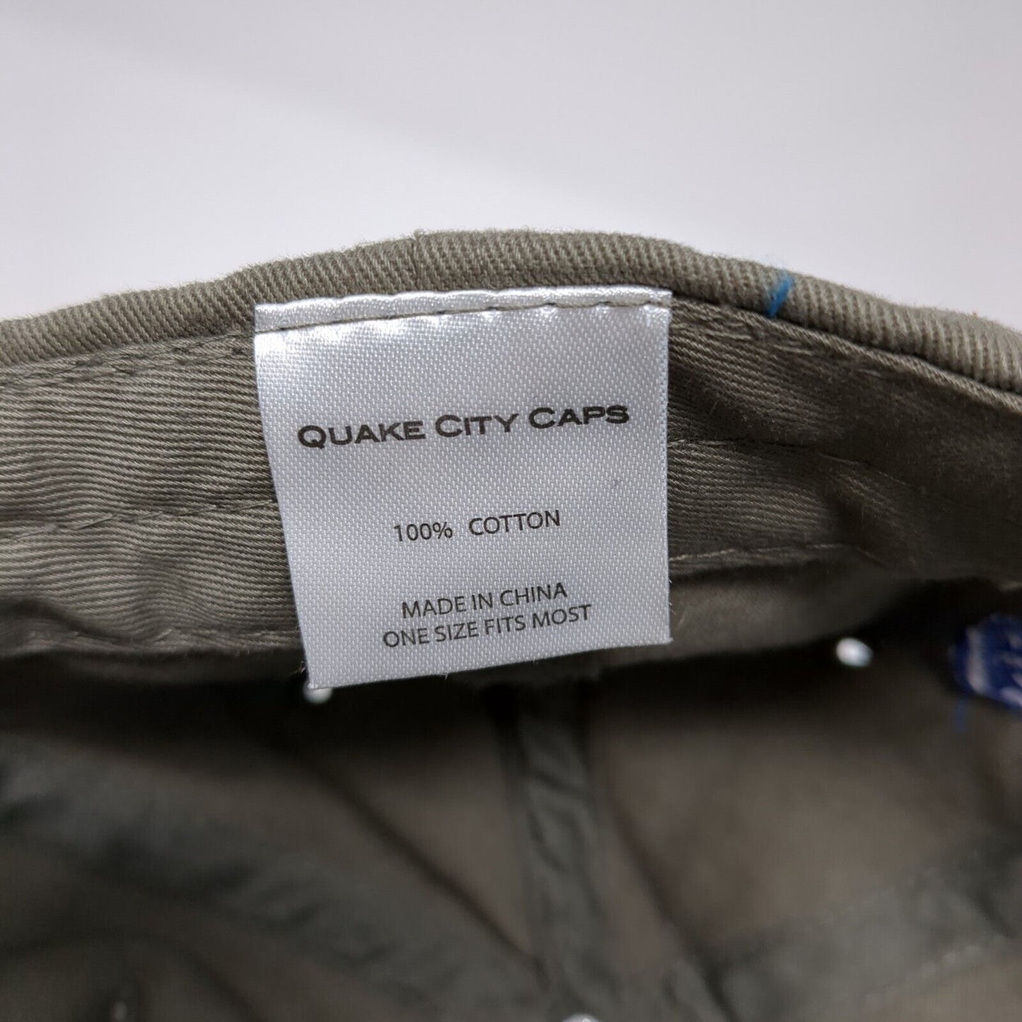 Brevant Seeds Slideback Hat Brown OS Adjustable Embroidered Quake City Caps