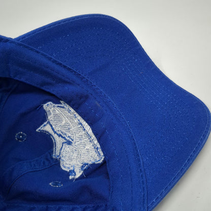 Port & Company Rivier University Raiders Baseball Cap Blue OSFM Strapback Hat