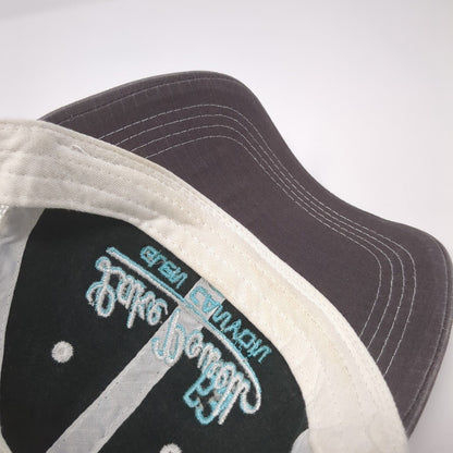 Lake Powell Glen Canyon Snapback Trucker Hat Gray One Size Mesh Prairie Mountain