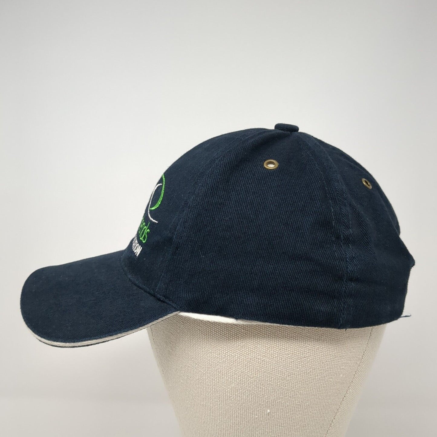 Learned Friends Professional Education Slideback Hat Blue OS Adjustable Cotton