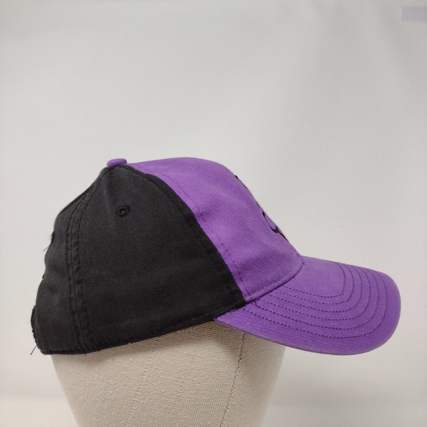 Diary of a Wimpy Kid Strapback Hat Multicolor Youth OSFM Embroidered
