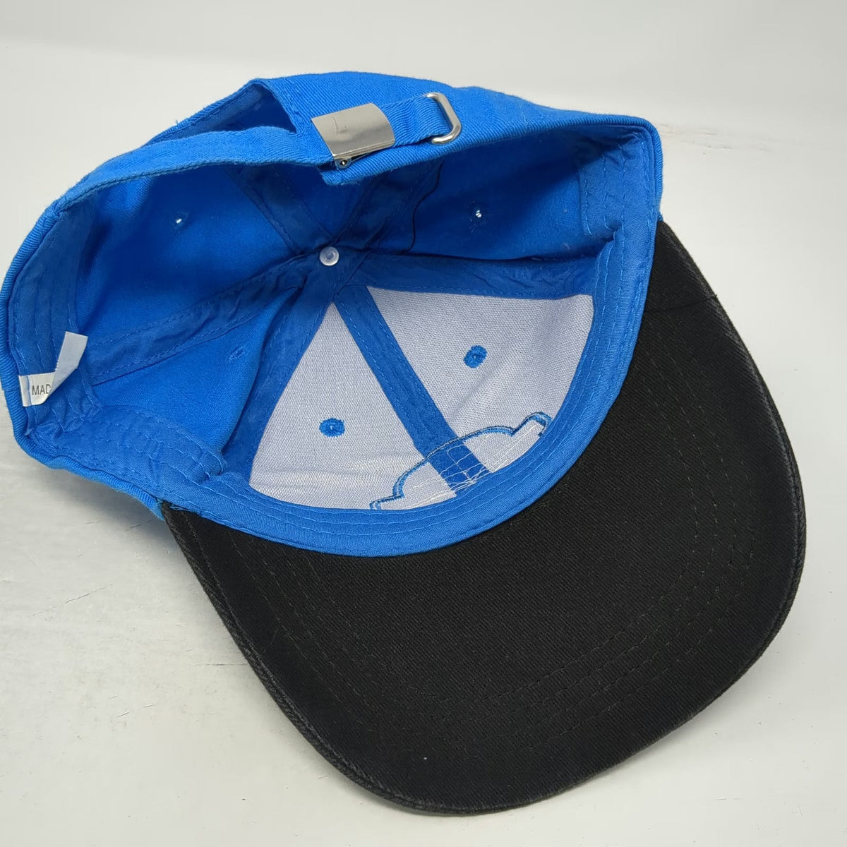 Beloit Sky Carp 2022 Inaugural Season Baseball Cap Blue One Size Hat Slideback