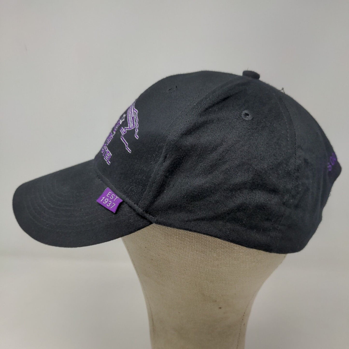 Harrah's Cherokee Casino & Hotel Men's Strapback Hat Black Purple Embroidered