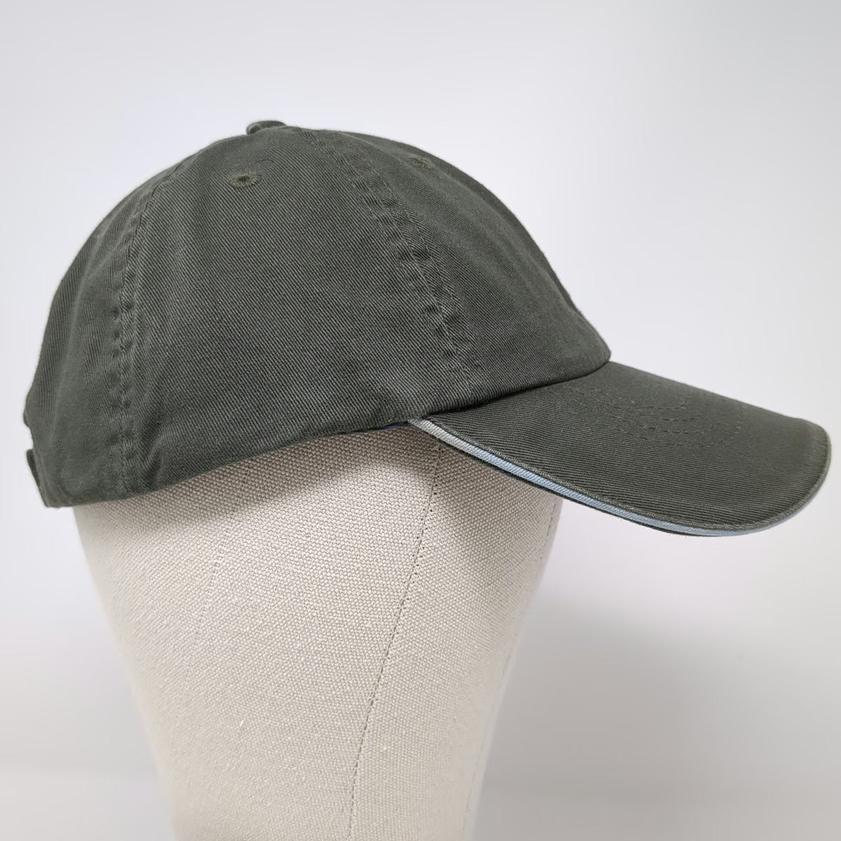 Arctic Circle Alaska Forget-Me-Not Flowers Hat Green One Size Baseball Cap