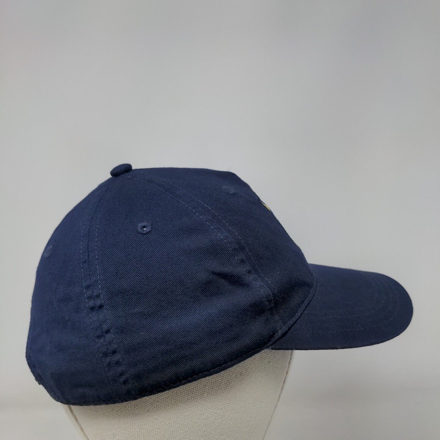 Sonic The Hedgehog Patch Snapback Hat Blue One Size Adjustable Sega