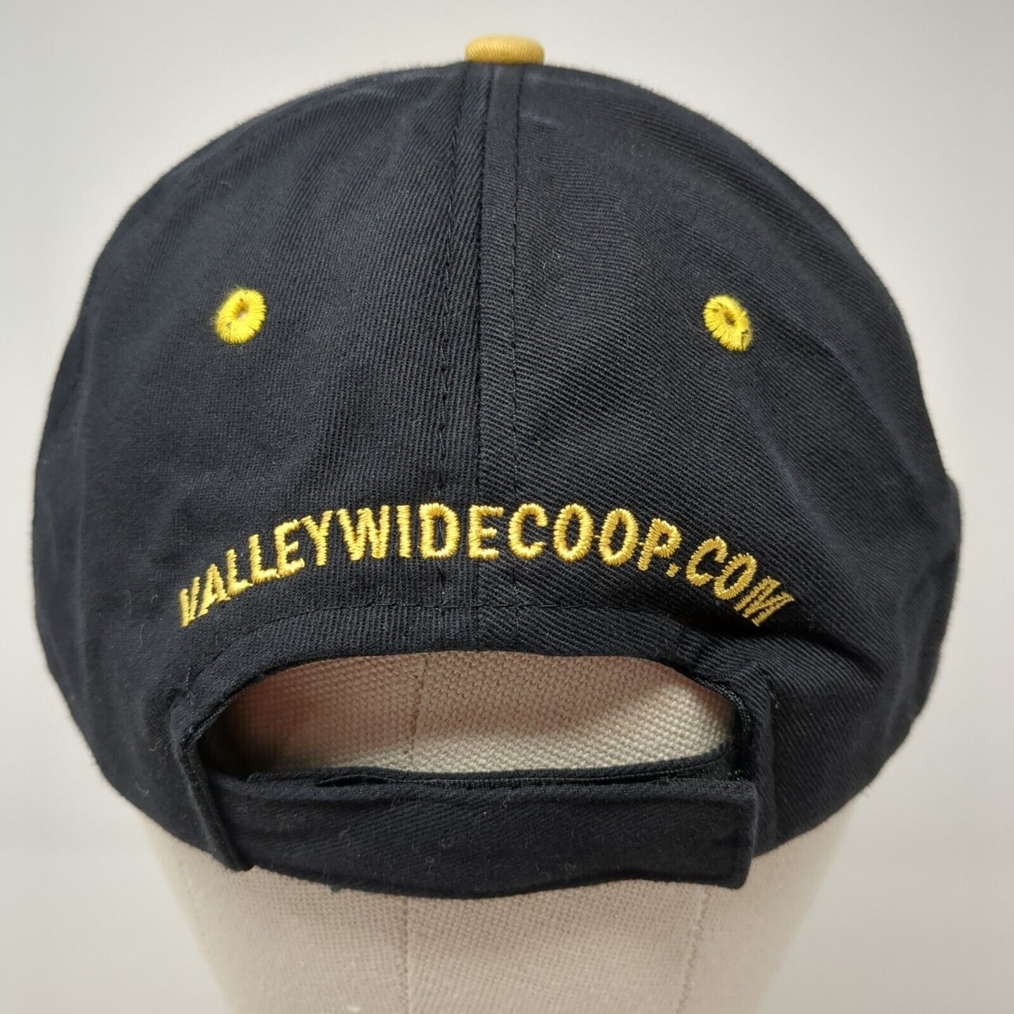 Valley Country Store Strapback Hat Multi OSFA Embroidered Colorblock