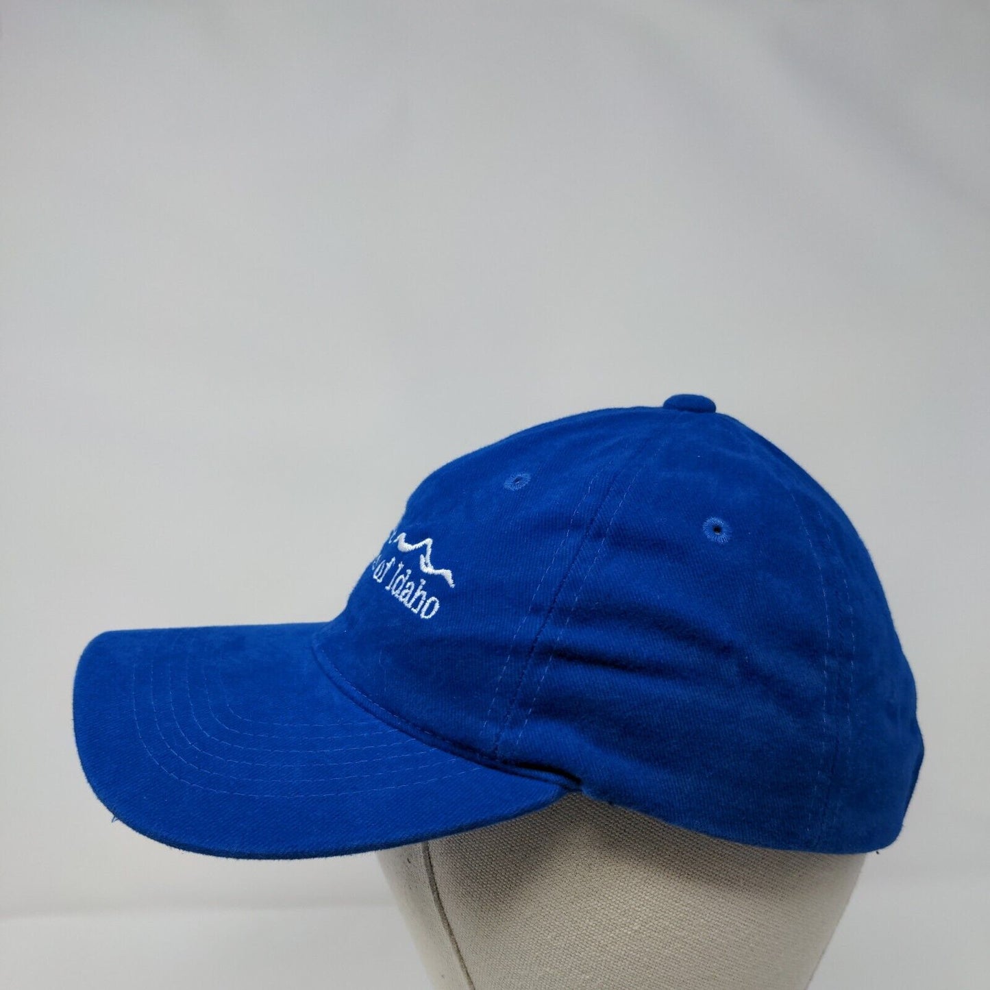 Blue Cross of Idaho Slideback Hat Blue OSFA Adjustable Embroidered Sportsman