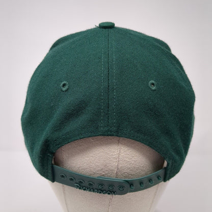 Meridian PAL Baseball Snapback Hat Green Large Adjustable Richardson